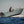 SQUADRON 5.2 SC